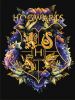 Malen nach Zahlen - Harry Potter: Wappen von Hogwarts mit metallischen Farben ©Warner Bros.