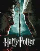 Painting by numbers - Harry Potter: Harry and Voldemort with extra metallic paints ©Warner Bros.