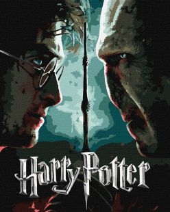 Malen nach Zahlen - Harry Potter: Harry und Voldemort mit extra Metallic-Farben ©Warner Bros.