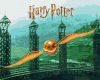 Malen nach Zahlen - Harry Potter: Der goldene Schnatz mit extra Metallic-Farben ©Warner Bros.