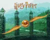 Malen nach Zahlen - Harry Potter: Der goldene Schnatz mit extra Metallic-Farben ©Warner Bros.