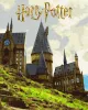 Malen nach Zahlen - Harry Potter: Hogwarts-Landschaft mit metallischen Farben ©Warner Bros.