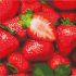 Painting by numbers - Juicy strawberry
