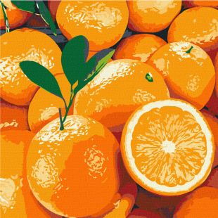 Malen nach Zahlen - Saftige Orange