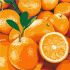 Painting by numbers - Juicy orange