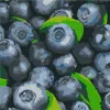 Painting by numbers - Juicy blueberry