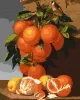 Malen nach Zahlen - Orangen und Zitronen ©Antonio Mensaque