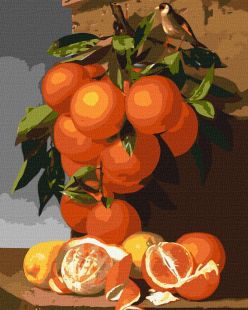 Malen nach Zahlen - Orangen und Zitronen ©Antonio Mensaque