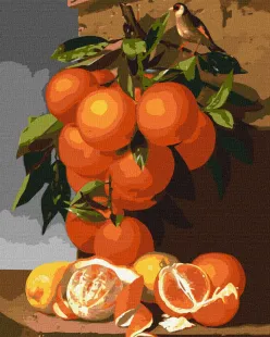 Malen nach Zahlen - Orangen und Zitronen ©Antonio Mensaque