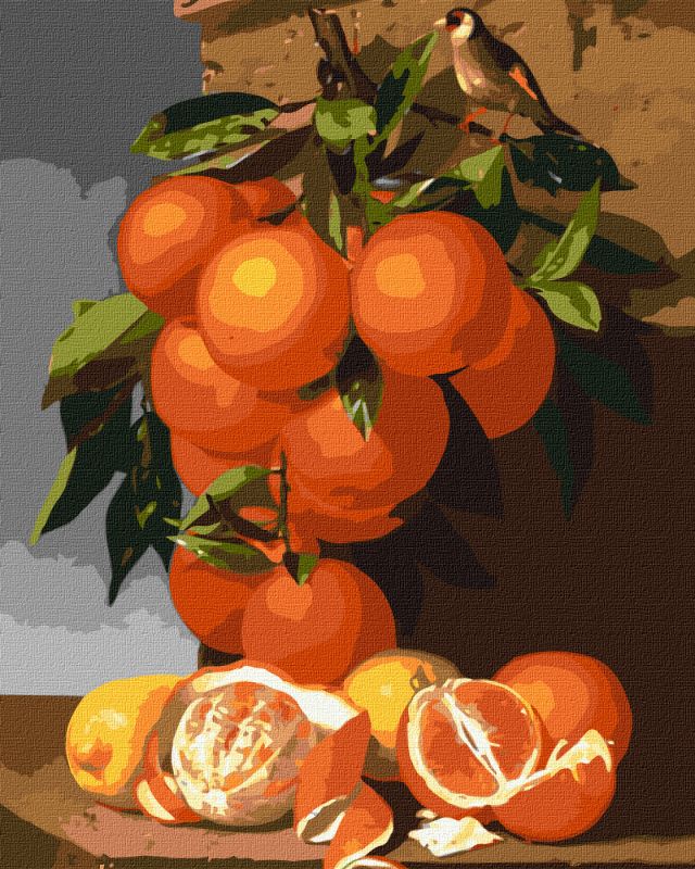 Painting by numbers - Oranges and lemons ©Antonio Mensaque
