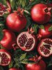Painting by numbers - Pomegranate in section ©art_selena_ua