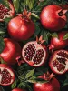 Malen nach Zahlen - Granatapfel im Ausschnitt ©art_selena_ua