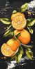 Malen nach Zahlen - Saftige Orangen ©art_selena_ua
