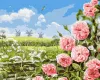 Painting by numbers - Tenderness of fields ©Аlessandro Remi