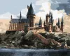Malen nach Zahlen - Harry Potter: Hogwarts bei Tag ©Warner Bros.