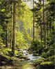 Malen nach Zahlen - Quelle der Ruhe ©art_selena_ua