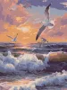 Malen nach Zahlen - Über den Wellen fliegen ©art_selena_ua