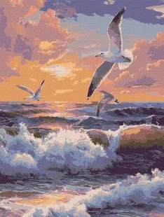 Malen nach Zahlen - Über den Wellen fliegen ©art_selena_ua