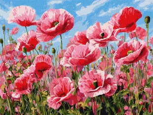 Malen nach Zahlen - Rosa Mohnblumen ©art_selena_ua