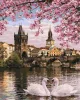 Malen nach Zahlen - Brücke der Liebenden ©art_selena_ua
