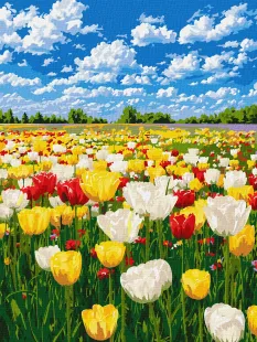 Malen nach Zahlen - Bunte Blüte ©art_selena_ua