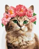 Malen nach Zahlen - Anmutige Kitty ©art_selena_ua