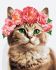 Painting by numbers - Graceful kitty ©art_selena_ua