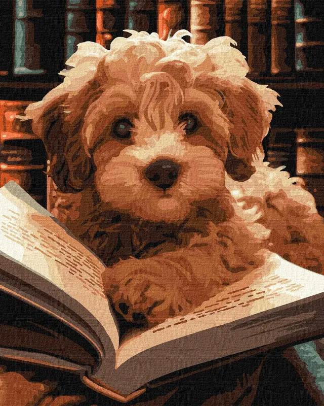Painting by numbers - Fluffy reader ©art_selena_ua