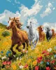 Malen nach Zahlen - Harmonie auf dem Feld ©art_selena_ua