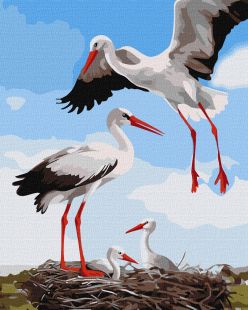 Malen nach Zahlen - Eine Familie von Störchen ©art_selena_ua