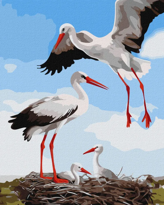 Malen nach Zahlen - Eine Familie von Störchen ©art_selena_ua