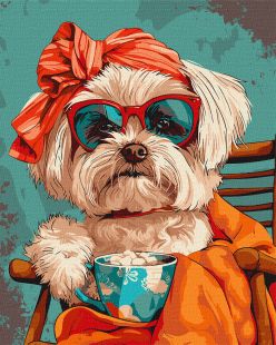 Malen nach Zahlen - Stilvoller Shih Tzu ©art_selena_ua