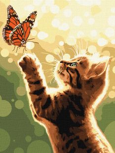 Malen nach Zahlen - Eine Katze und ein Schmetterling ©art_selena_ua