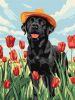 Painting by numbers -  Charming Labrador ©art_selena_ua