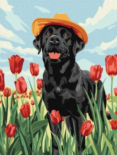 Malen nach Zahlen -  Charmanter Labrador ©art_selena_ua