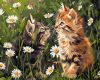 Malen nach Zahlen - Katzen in Blumen ©art_selena_ua