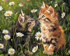Malen nach Zahlen - Katzen in Blumen ©art_selena_ua