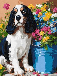 Malen nach Zahlen - Ein süßer Spaniel ©art_selena_ua