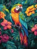 Malen nach Zahlen - Tropischer Vogel ©art_selena_ua