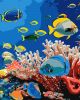 Painting by numbers - Life in the ocean