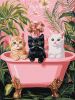 Painting by numbers - Cats in the bathroom ©art_selena_ua