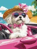 Malen nach Zahlen - Rosa Auto ©art_selena_ua