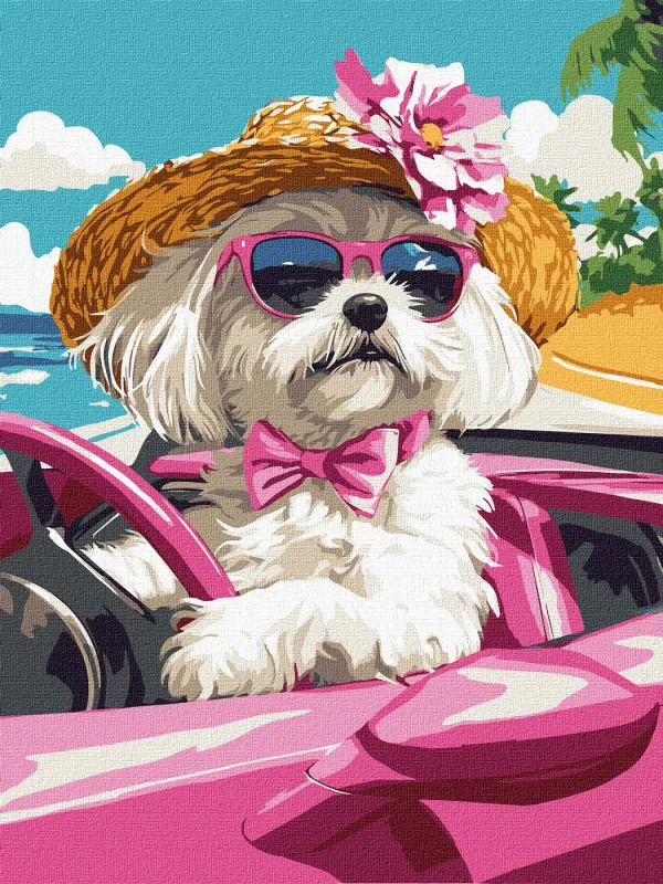 Malen nach Zahlen - Rosa Auto ©art_selena_ua