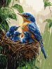 Malen nach Zahlen - Frühlingsregen ©art_selena_ua