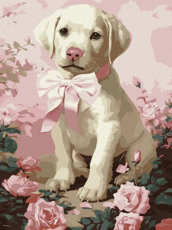 Malen nach Zahlen - Flauschiges Geschenk ©art_selena_ua
