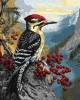 Malen nach Zahlen - Specht auf einem Schneeballstrauch ©art_selena_ua