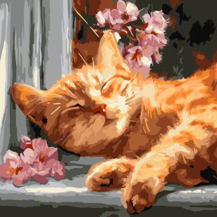 Malen nach Zahlen - Rote Katze auf der Fensterbank ©art_selena_ua