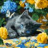Painting by numbers - Blue-eyed mowing ©art_selena_ua