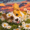 Malen nach Zahlen - Corgi in Gänseblümchen ©art_selena_ua