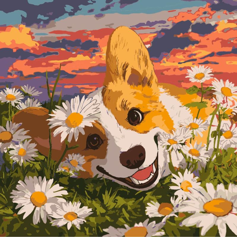 Malen nach Zahlen - Corgi in Gänseblümchen ©art_selena_ua